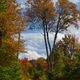Illustration for article titled Fall Photos 1